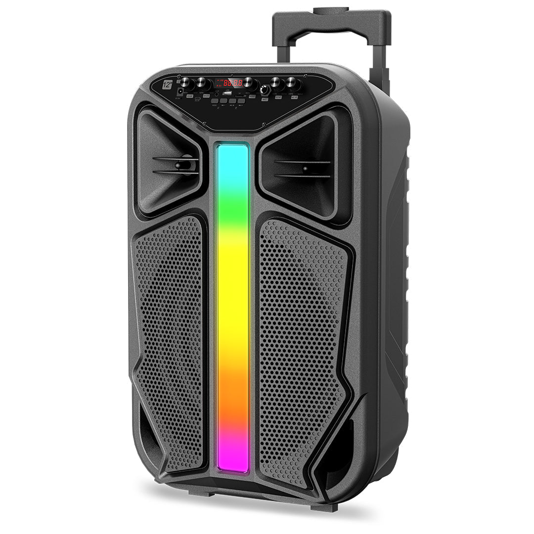RCA STAGE-12 12